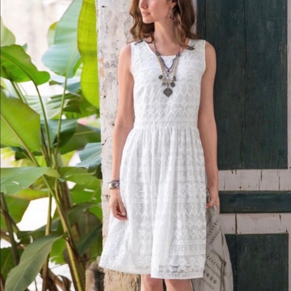 Sundance In A Heartbeat Lace Mesh Dress - 16